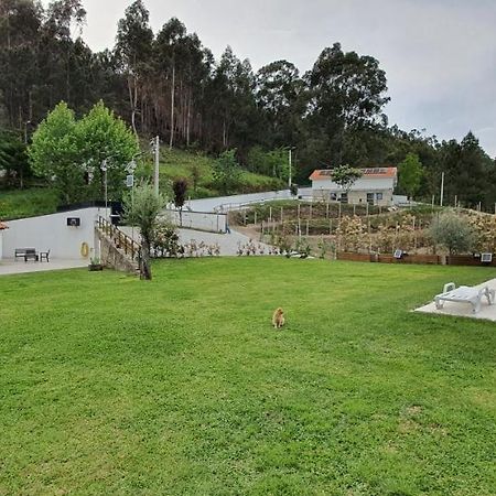 Villa Quinta Da Tormenta -14 Pessoas- Cabeceiras De Basto 2 Casas E Piscina Privada Exterior foto
